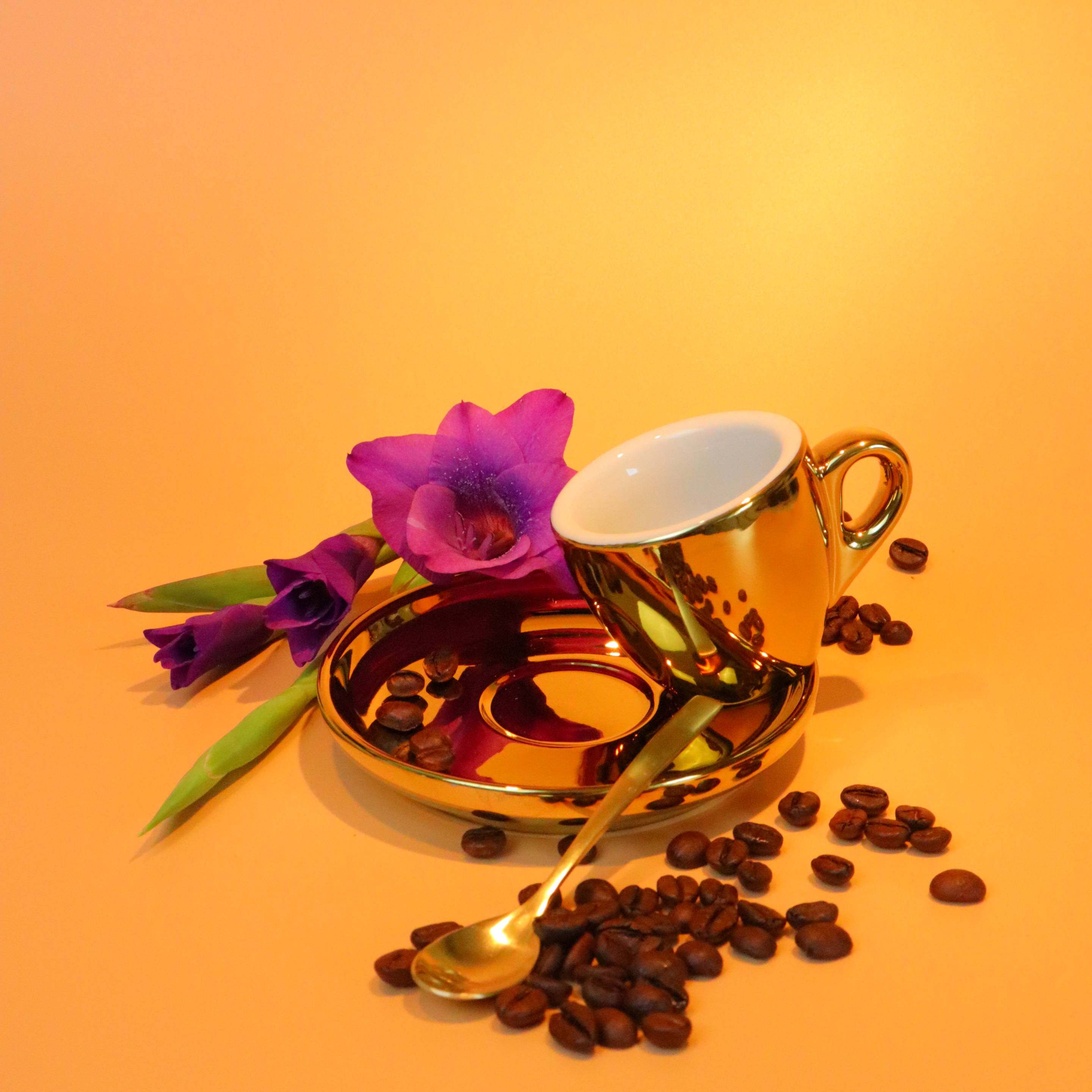 8tto grammi cafebar roesterei latte art in bayreuth espresso gold tasse 01
